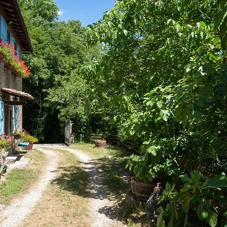 Podere La Vigna