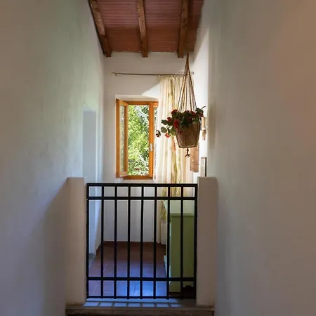 Villa Podere La Vigna